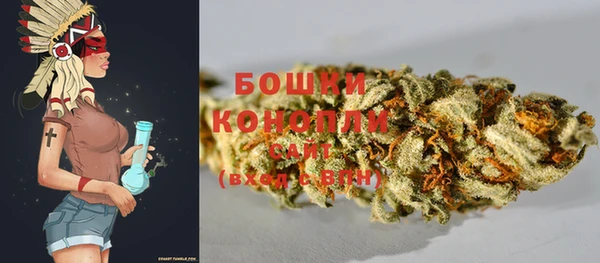 стафф Аркадак